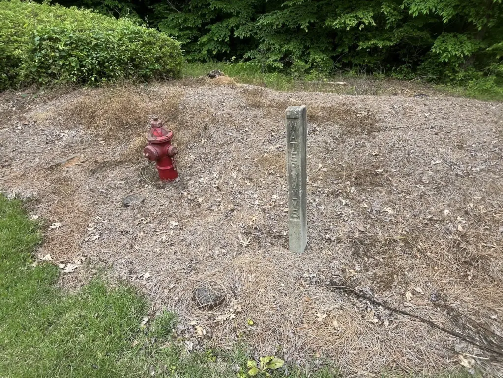 Picture 42