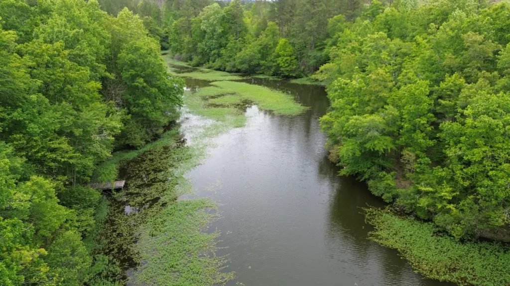 Picture 22