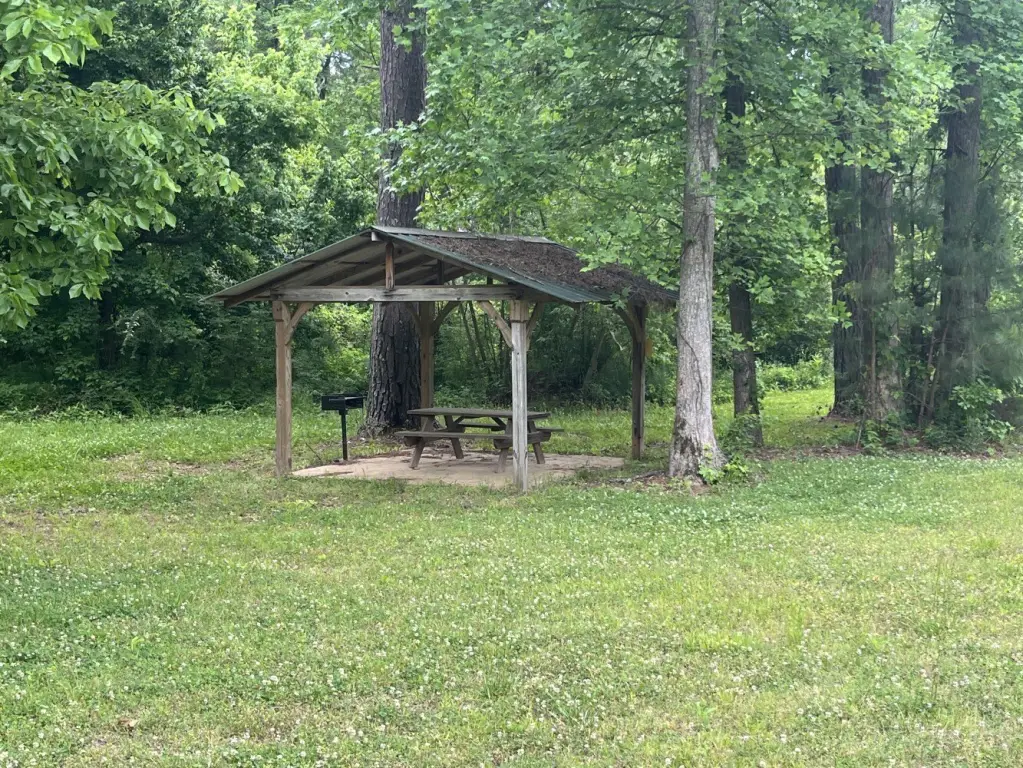Picture 20