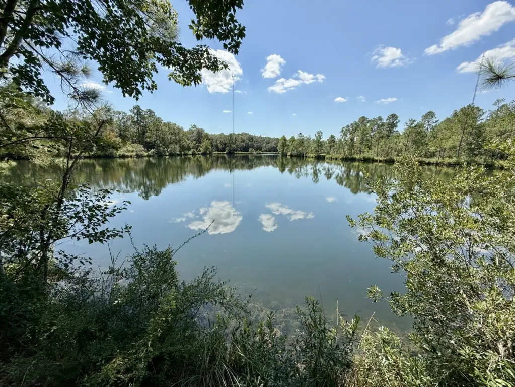 Picture 45