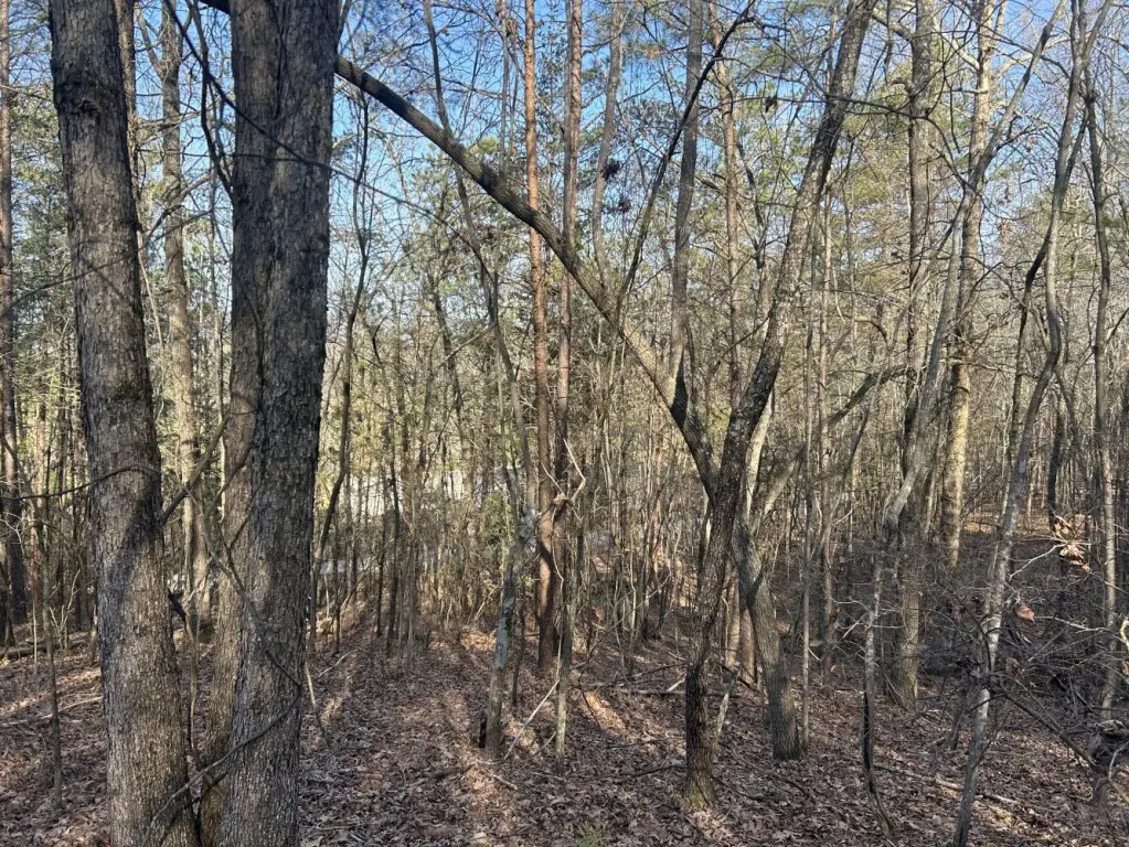Picture 19
