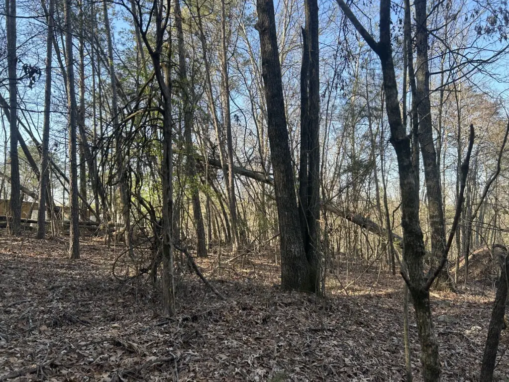 Picture 15