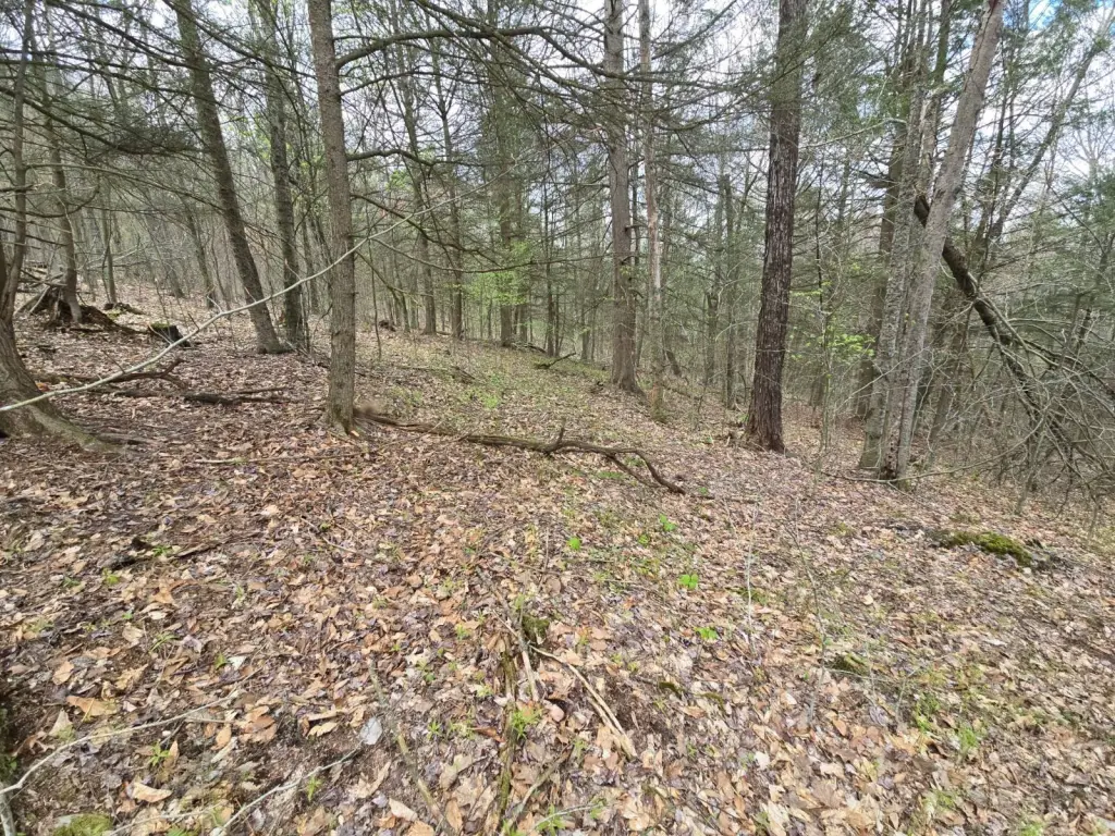 Picture 16
