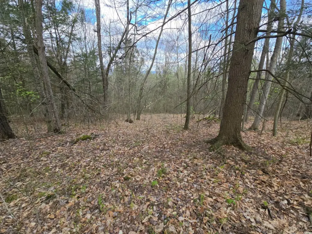 Picture 17