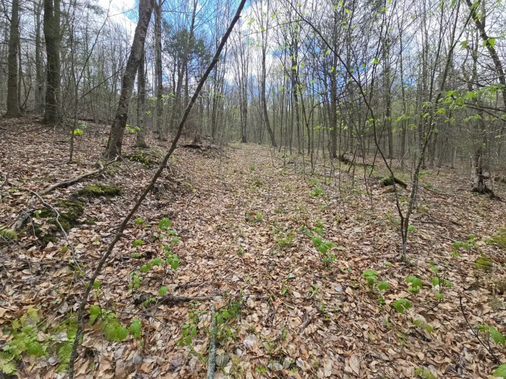 Picture 18