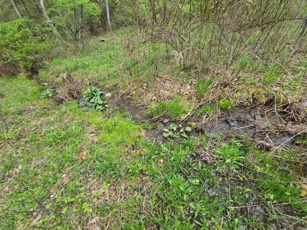 Picture 31