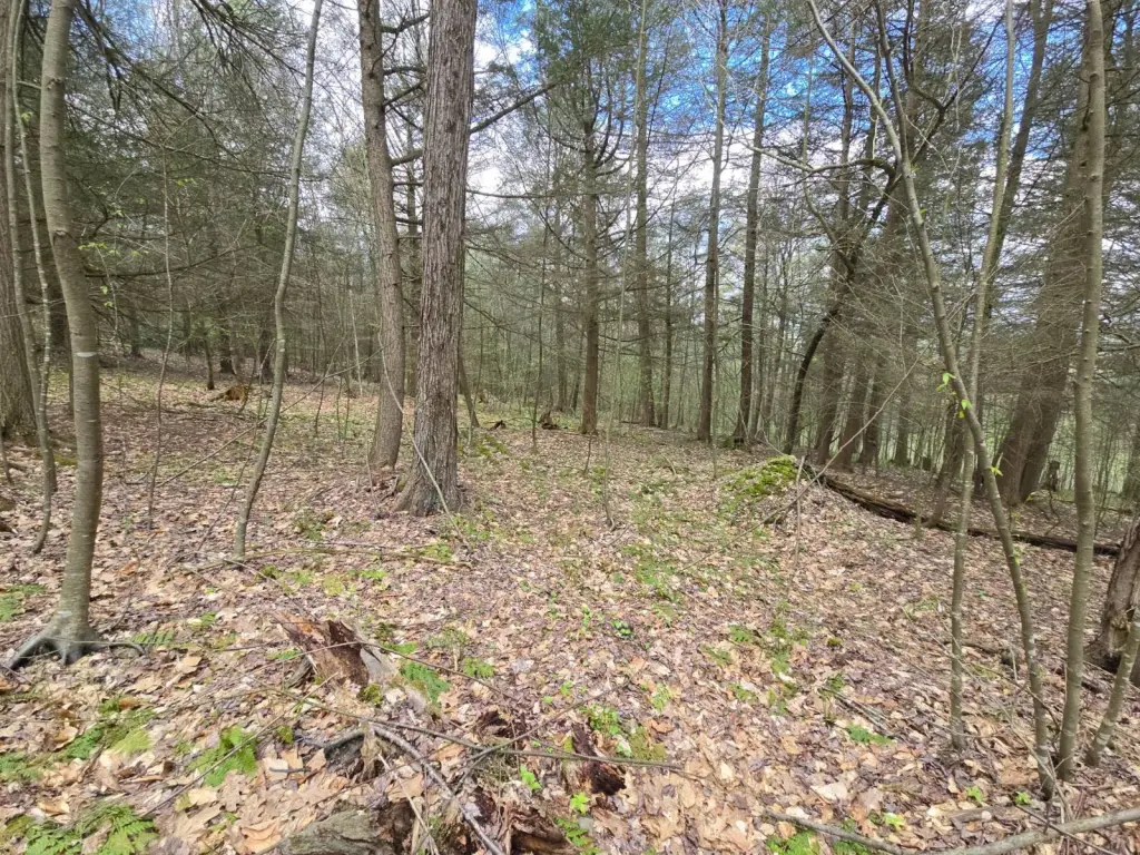 Picture 6