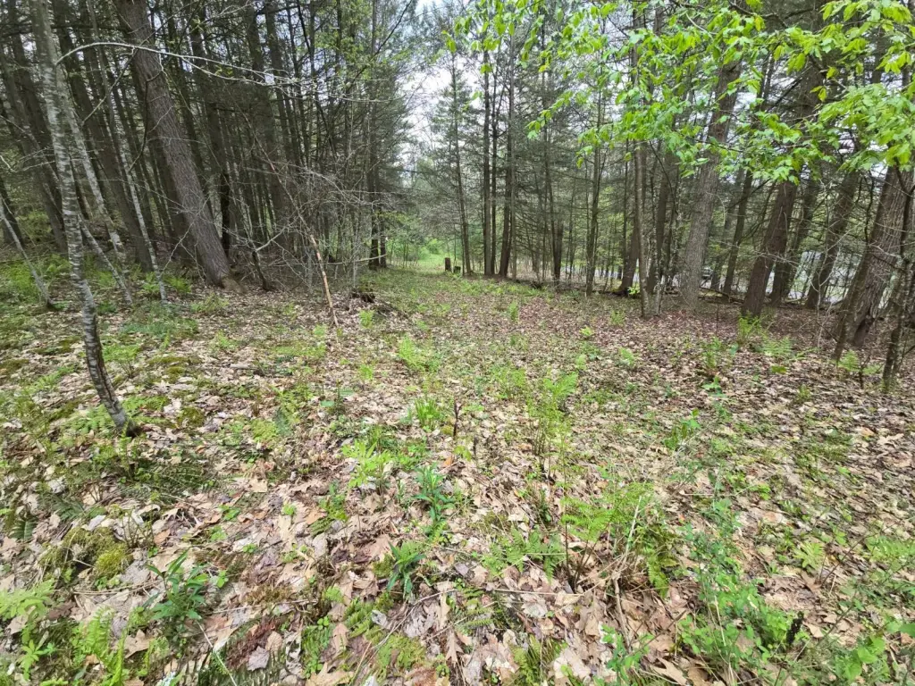 Picture 29