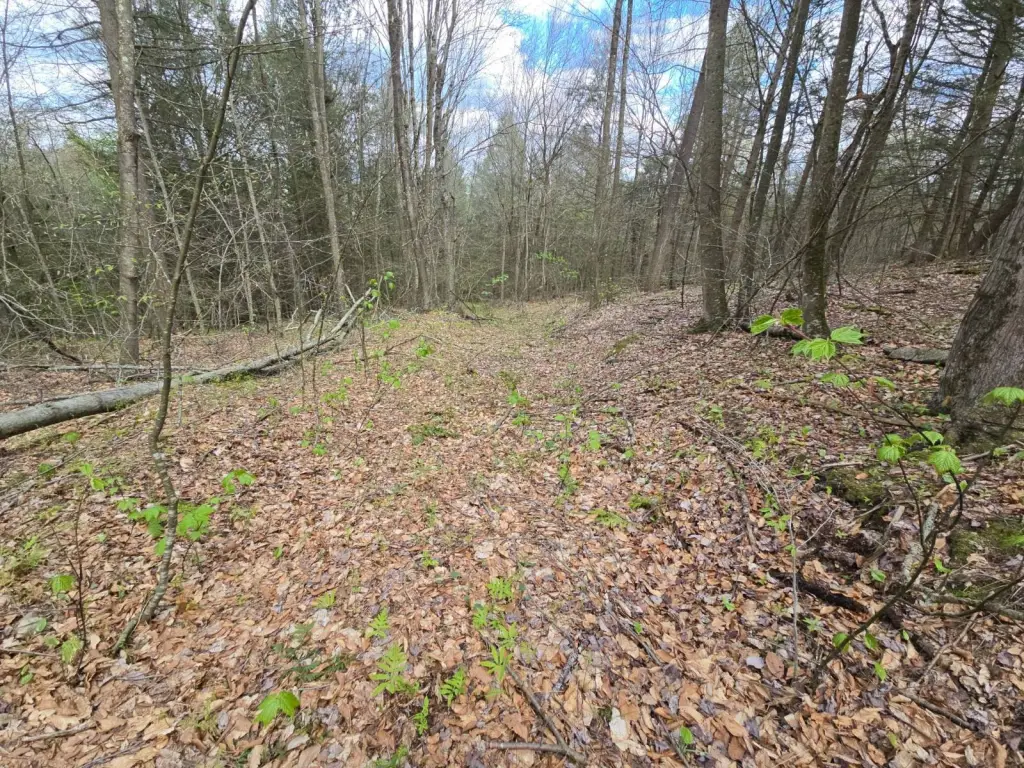 Picture 19