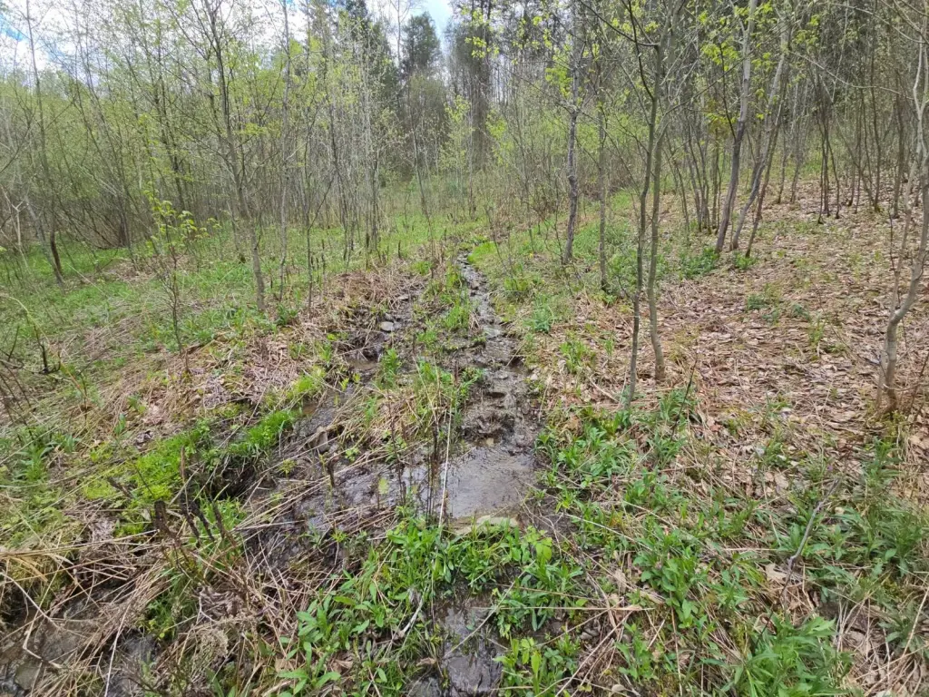 Picture 30