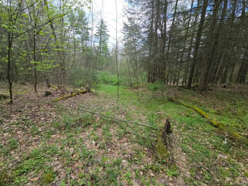 Picture 27