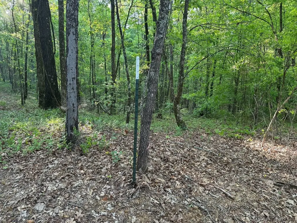 Picture 27