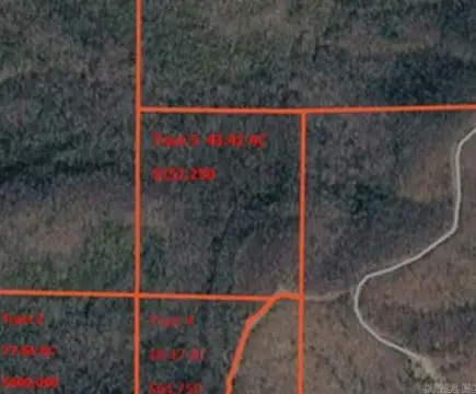 Wooded Recreational Land Tract