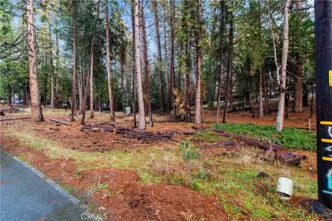 Pioneer, CA Ready-to-Build Lot