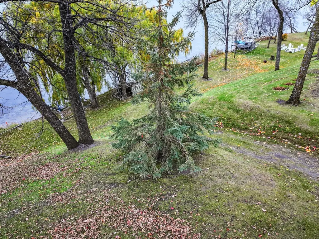 Picture 5