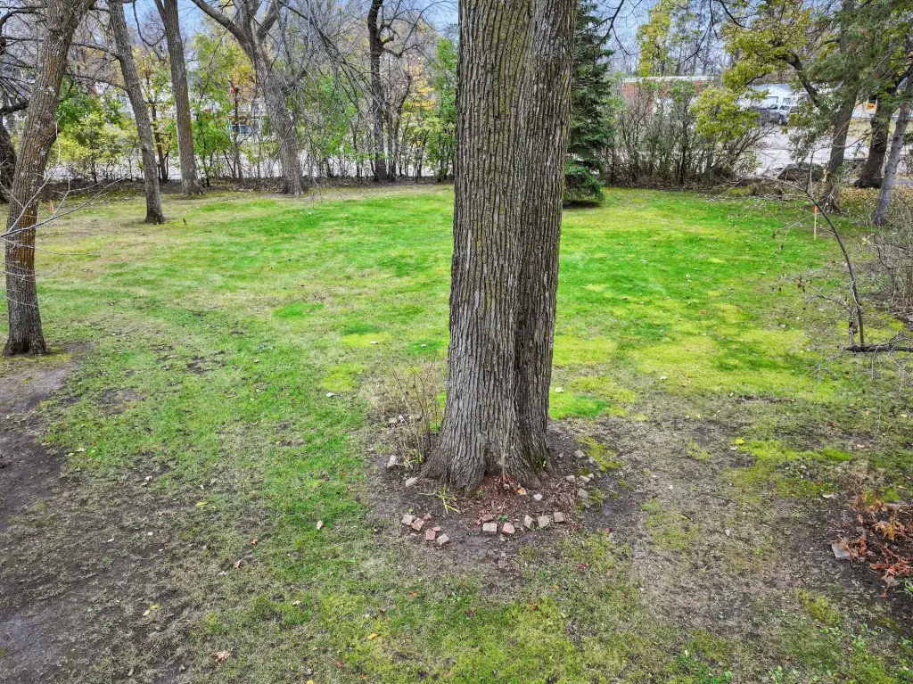 Picture 11