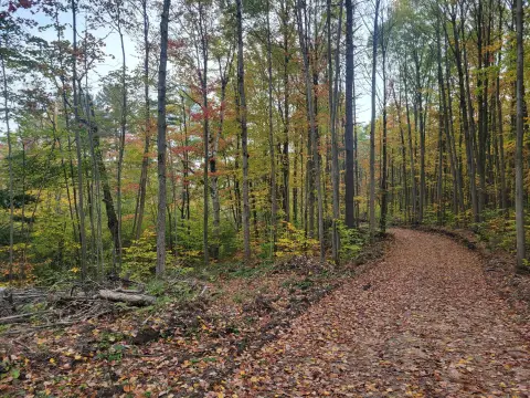 Secluded 10-Acre Hunting Land