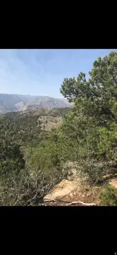 30 Acres Mountain Top Land