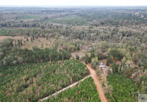 40 Acres of Mixed Timberland