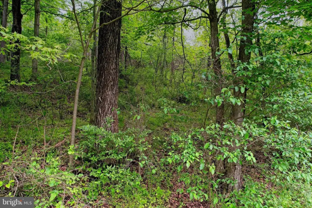 Picture 16
