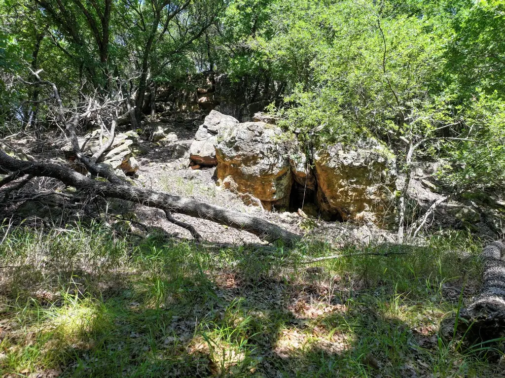 Picture 15