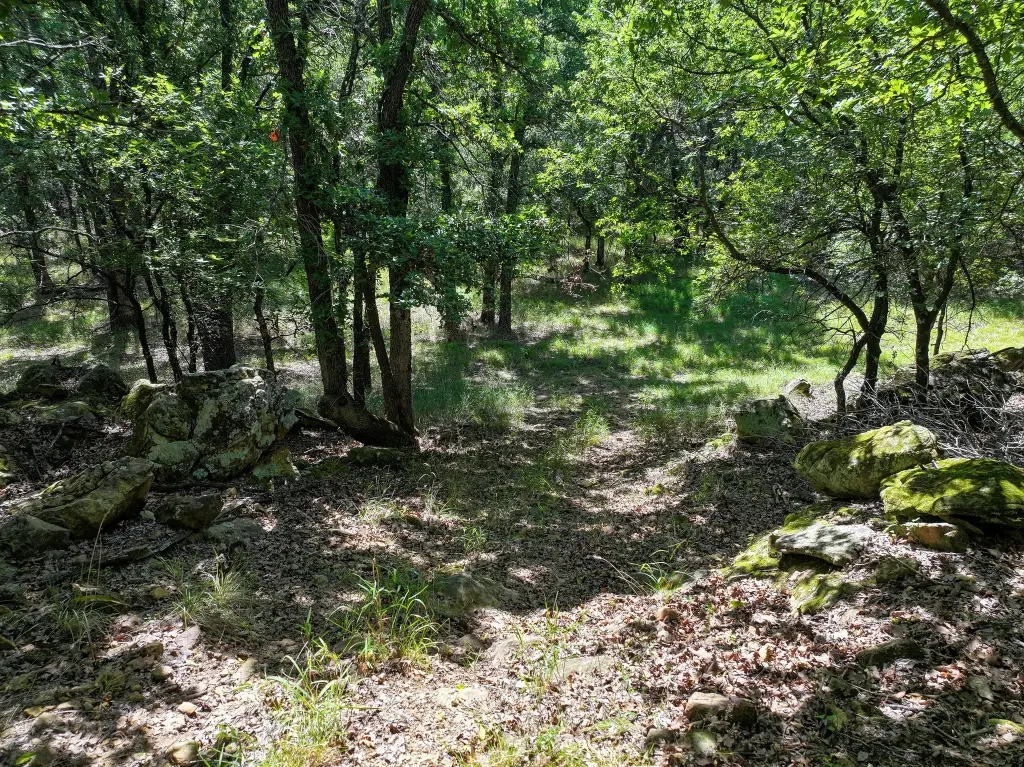 Picture 16
