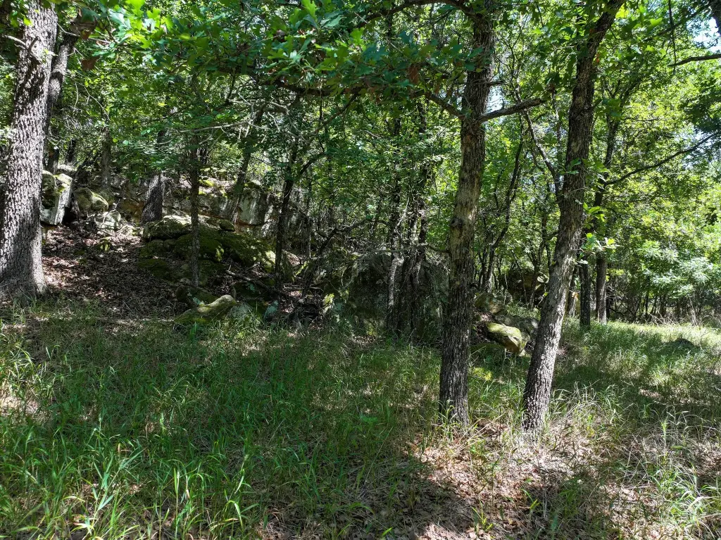 Picture 17