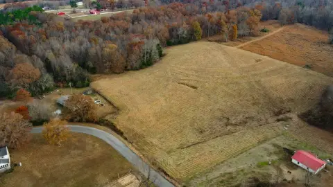 Lexington, AL Vacant Land