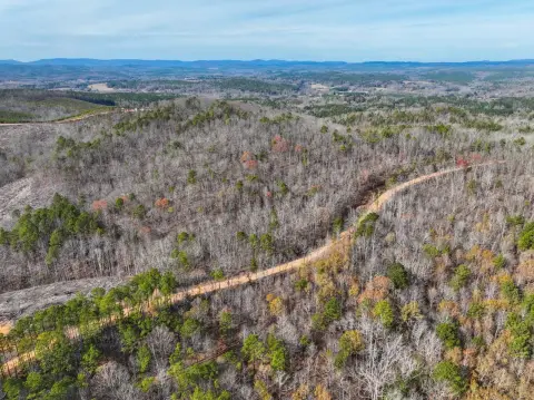 Recreational Land Near Ashland, Alabama