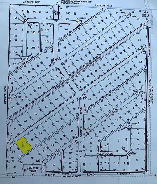 Picture 3