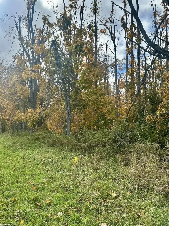 Picture 17