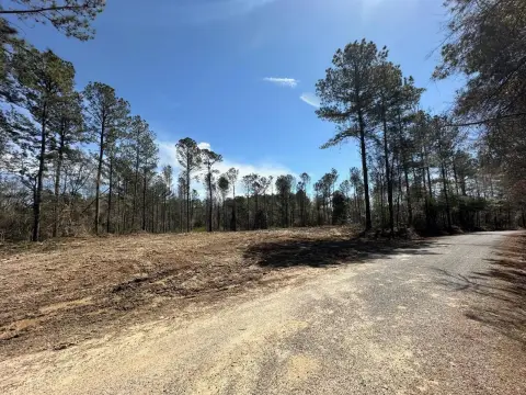 2 Acre Land in Mississippi