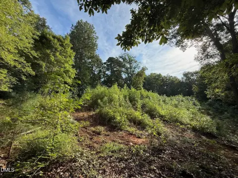 Hillsborough Vacant Land Opportunity