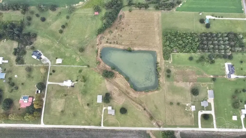 Picture 13