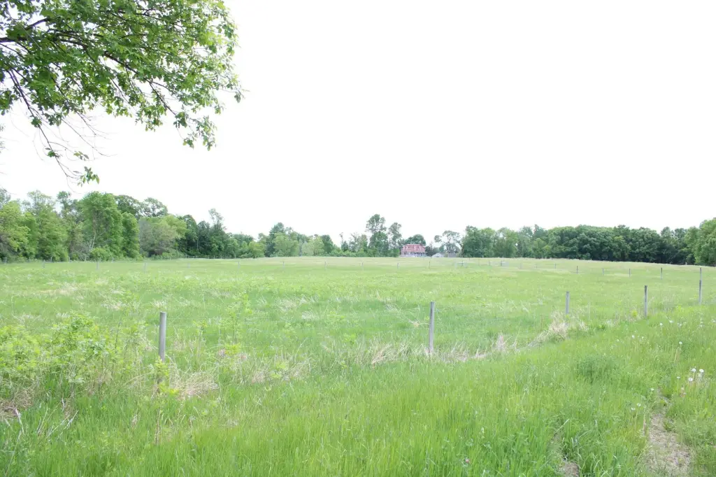 Picture 47