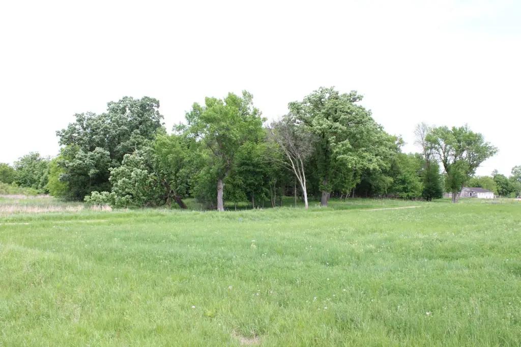 Picture 38