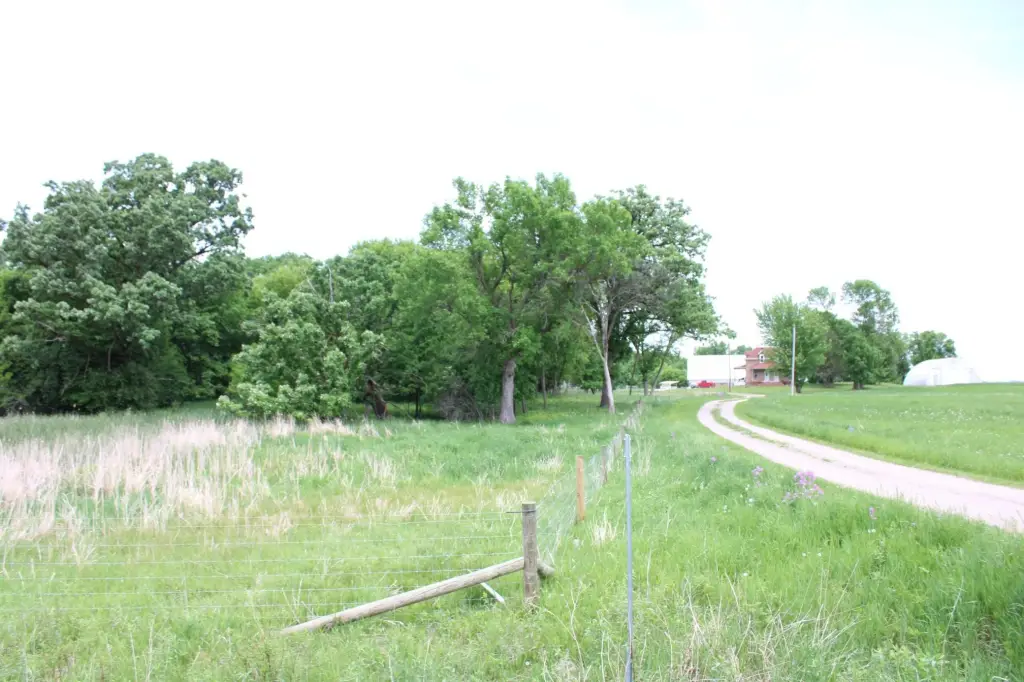Picture 41