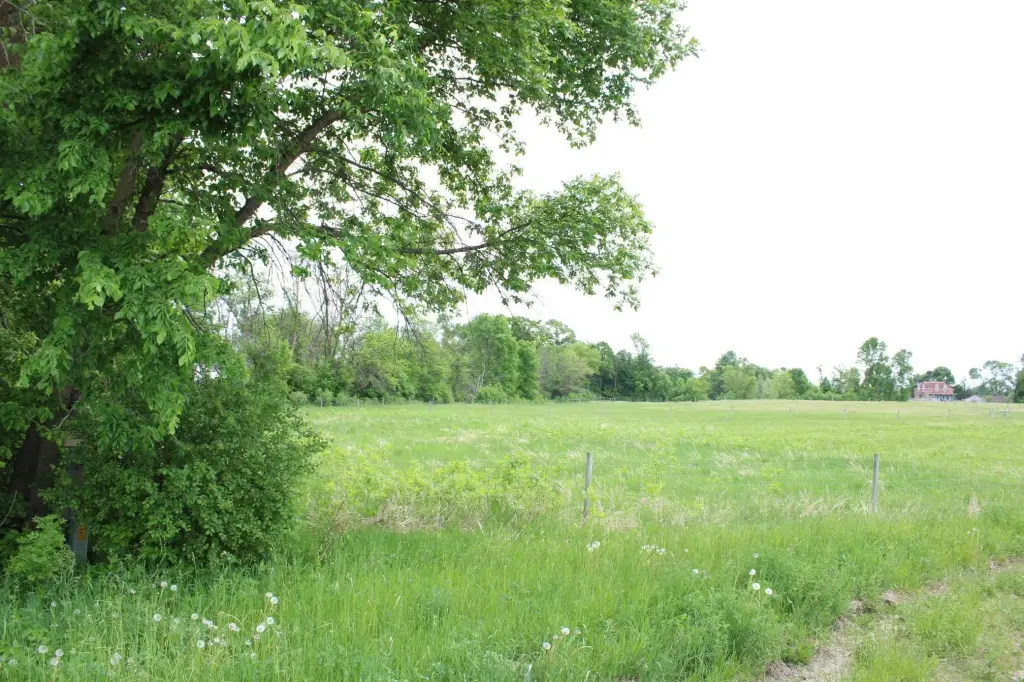 Picture 46