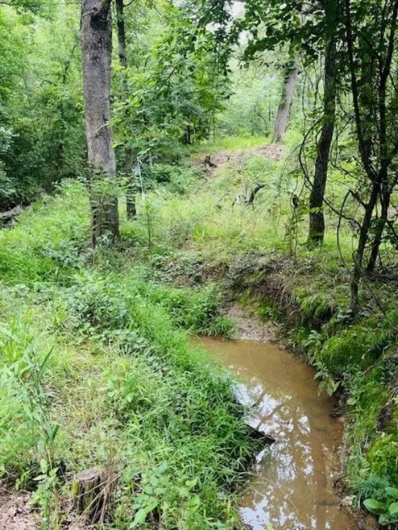 Picture 7