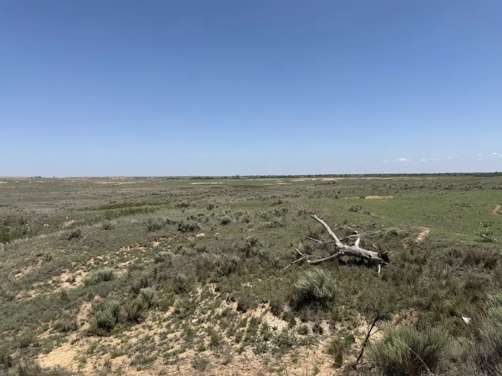 Picture 22