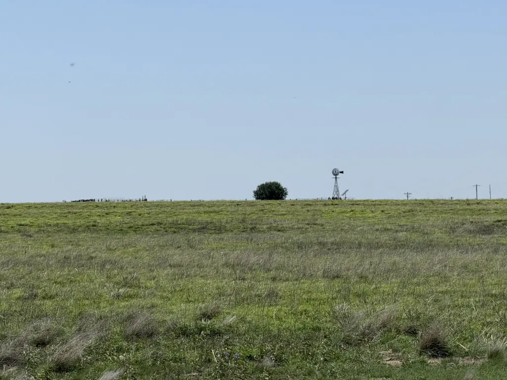 Picture 30
