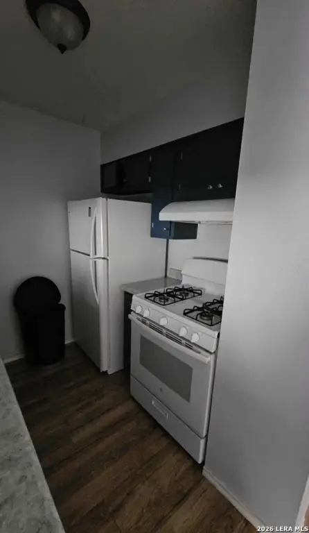 Picture 39