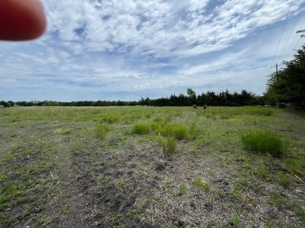 Picture 6