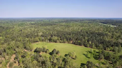 Expansive Acreage in East Texas