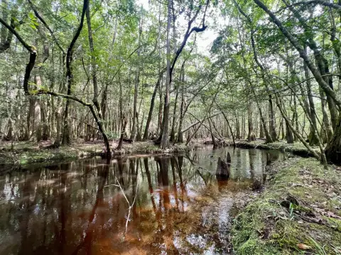 Creekfront Recreational Land