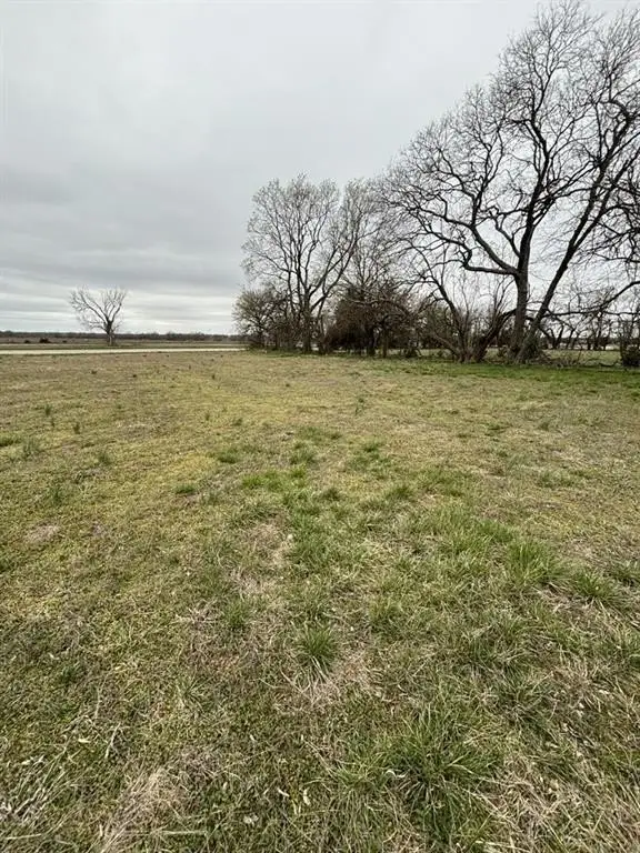 Picture 43