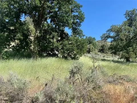 Bear Valley Springs Land Opportunity