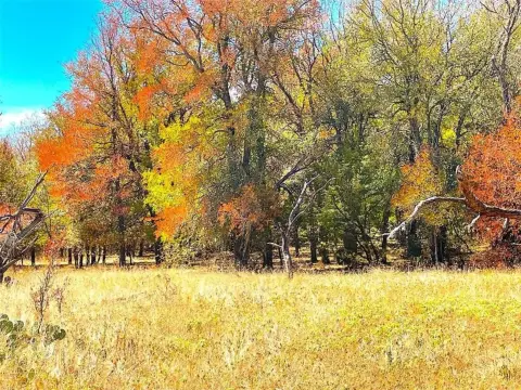 Perrin, TX Unimproved Land