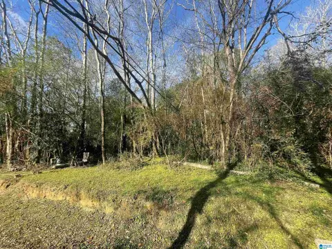 Adamsville Lot For New Build