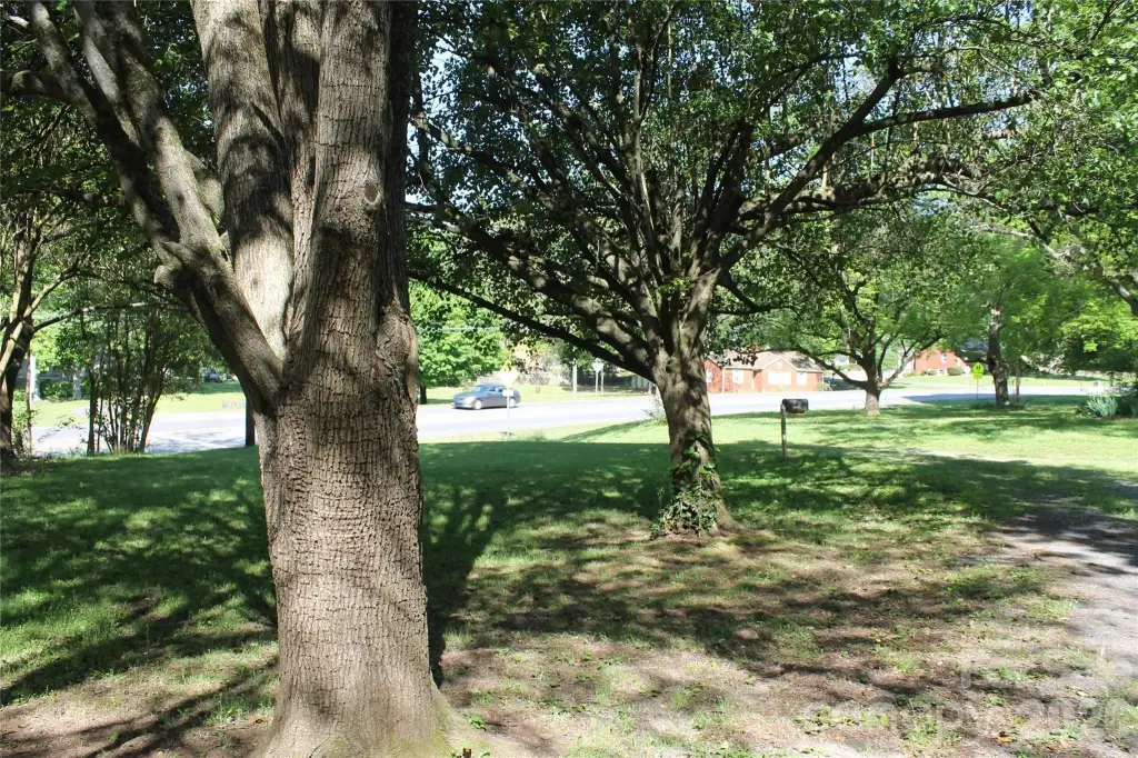 Picture 3